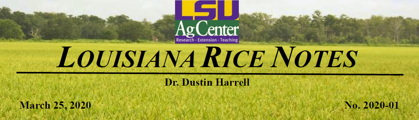 2020 Louisiana Rice Field Notes #1